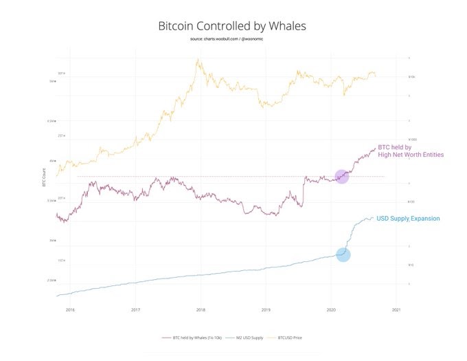 Bitcoin whale holdings vs. USD supply