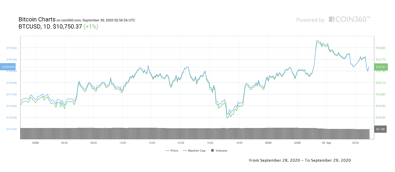 Bitcoin price daily performance