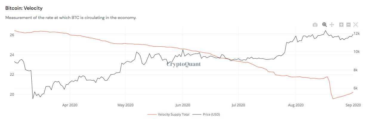 Bitcoin money supply velocity vs. price chart