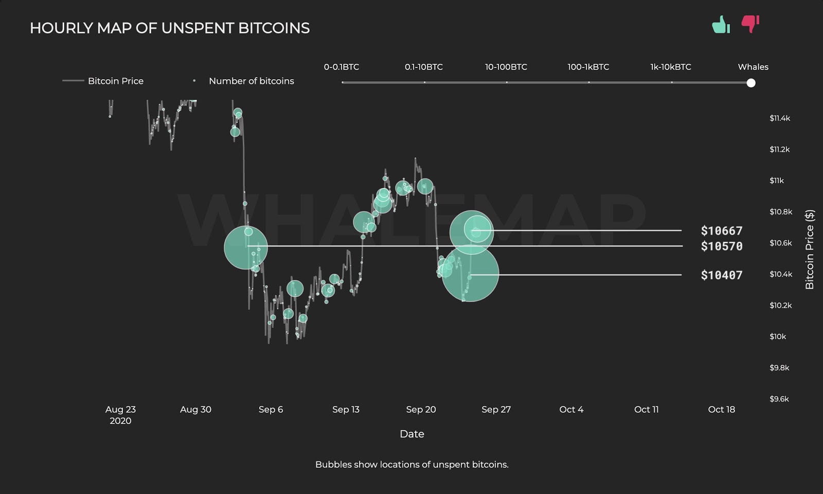 The hourly map of Bitcoin whale clusters